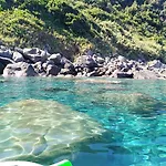 Eleonora *