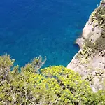 Eleonora *