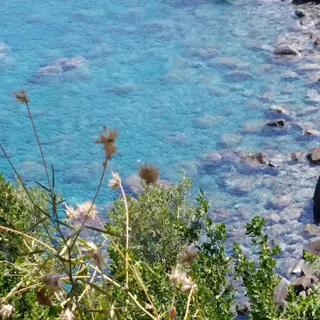 Appartamento Eleonora Palmi