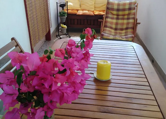 Eleonora Apartament *