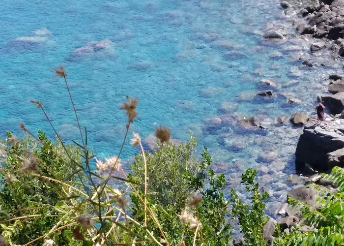 Apartament Eleonora Palmi