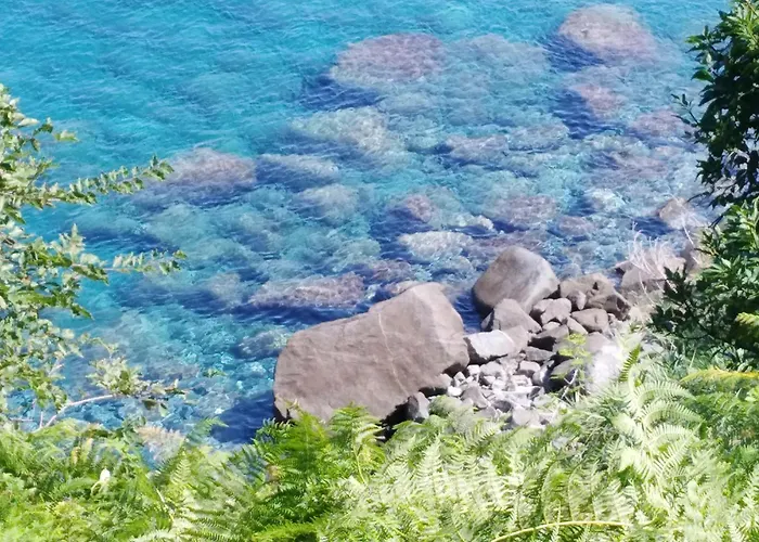 Apartament Eleonora *