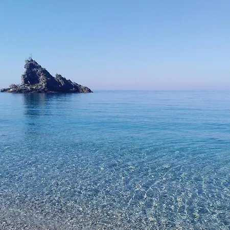 Eleonora *