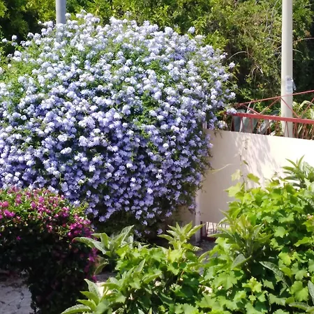 Eleonora דירה פאלמי