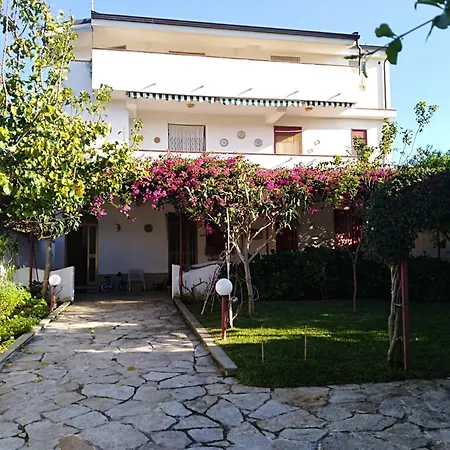 Eleonora * Palmi