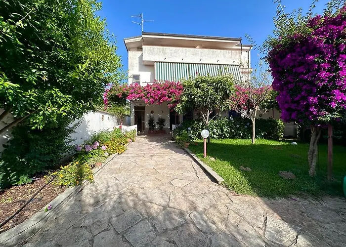 Eleonora * פאלמי