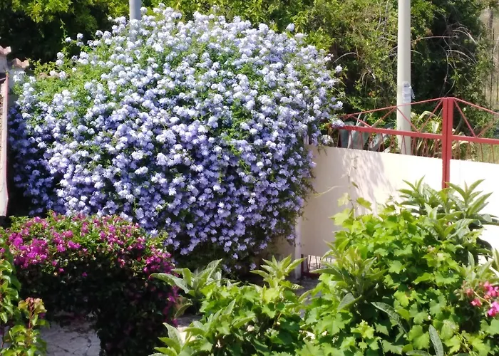 Eleonora Appartamento Palmi