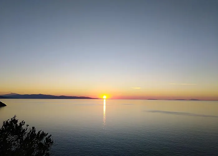 Eleonora * פאלמי