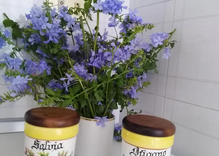 Eleonora * פאלמי