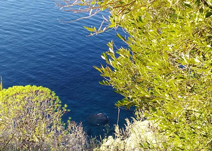 Eleonora * פאלמי