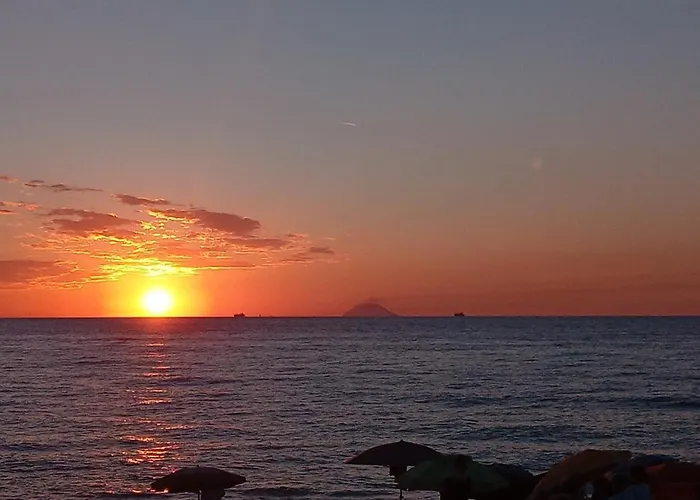 Eleonora * פאלמי